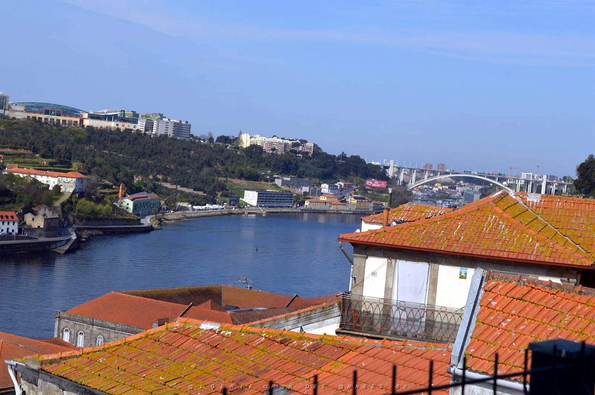 1858- Porto- De Clerigos a Ribeira.jpg
